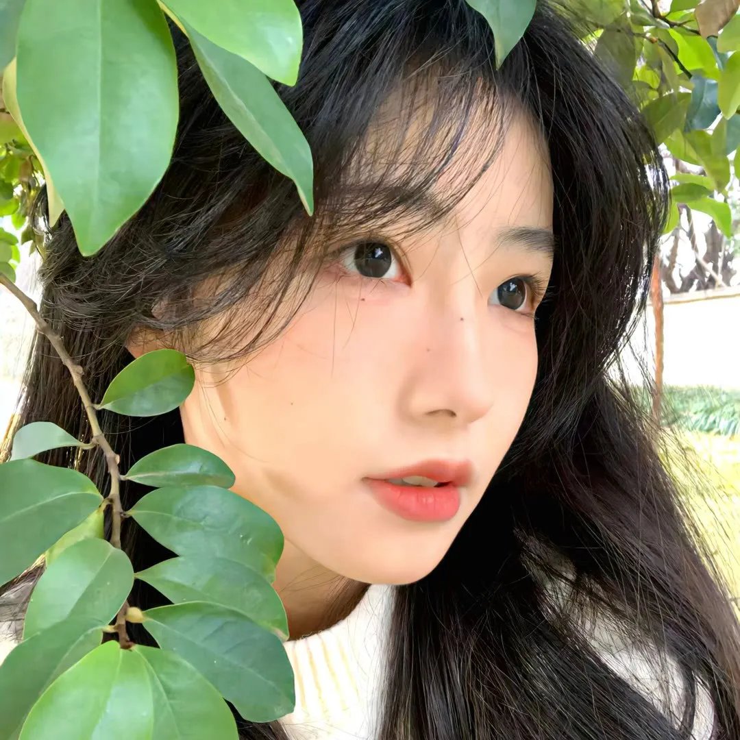 贵妃生存法则第二季